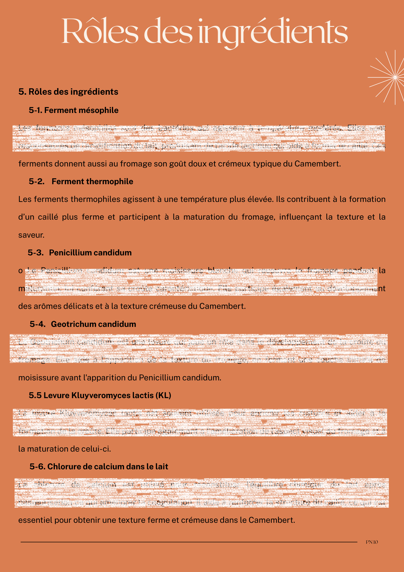 Recette camembert livre PDF