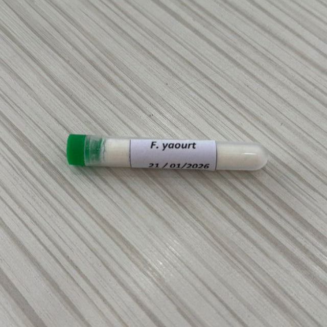Ferment pour Yaourt