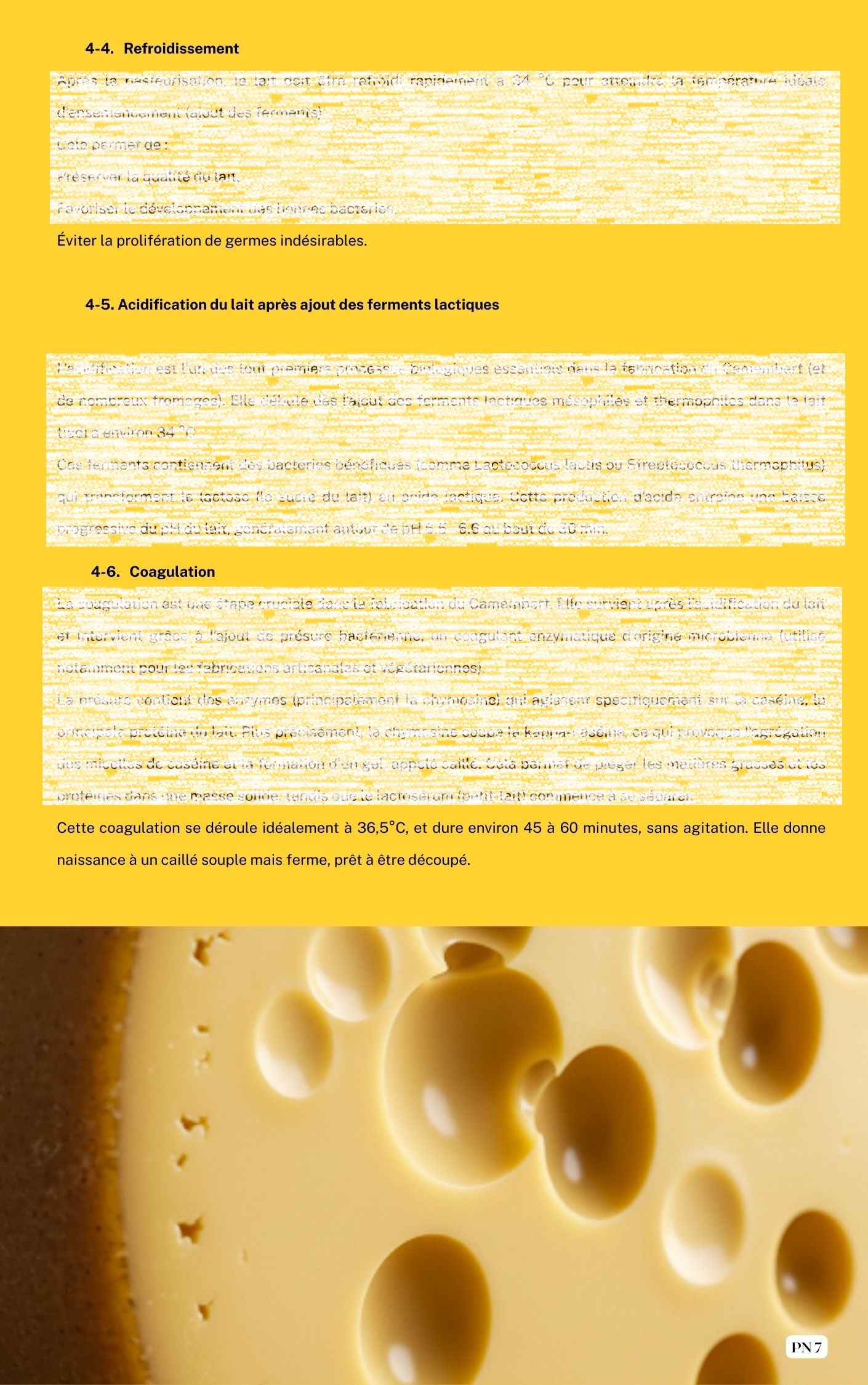 Recette Emmental livre PDF
