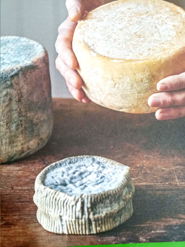 L'art de faire son fromage livre PDF