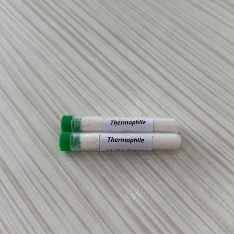 Ferment Thermophile
