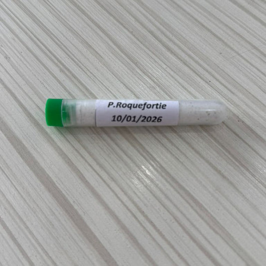 Pénicillium roquefortii