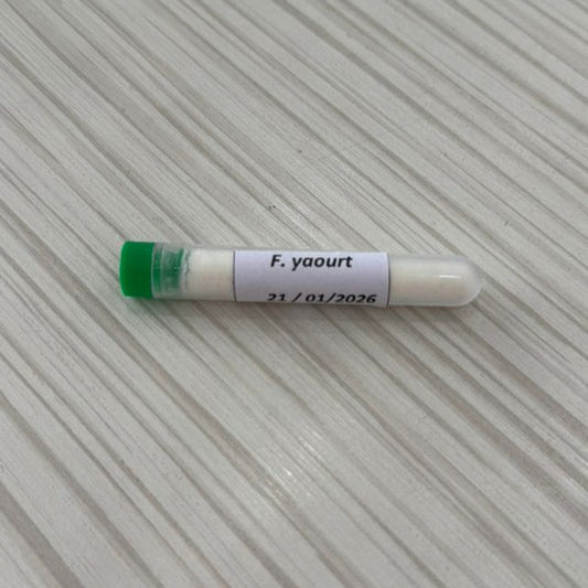 Ferment pour Yaourt