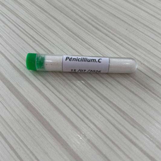 Pénicillium Candidum