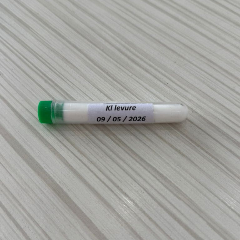 Levure Kluyveromyces